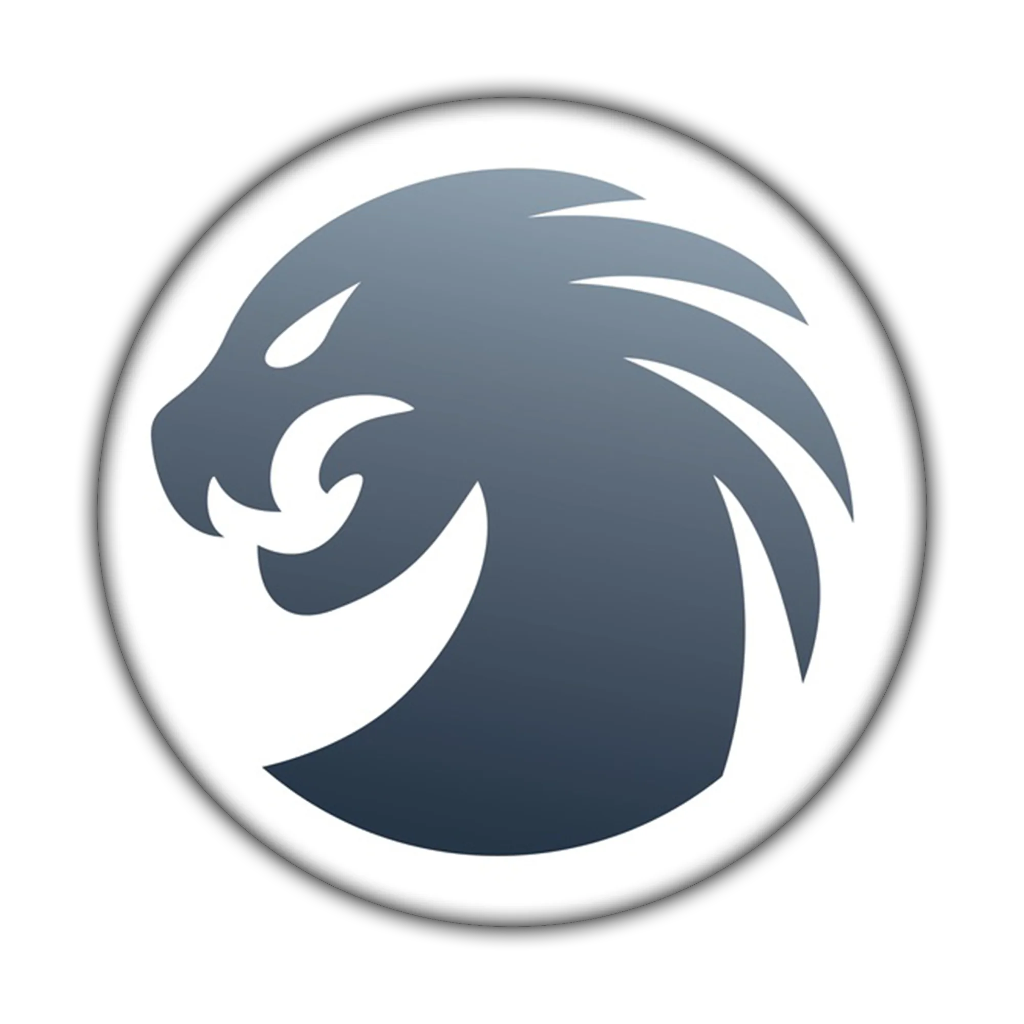 HYDRA TOOL HYDRA TOOL