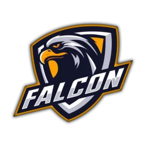 FALCON MULTI AUTH TOOL